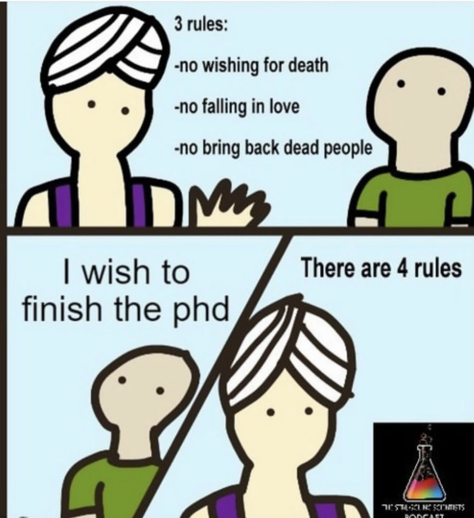 phd motivation meme